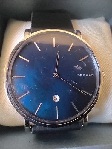 Skagen hagen herren - hagen,