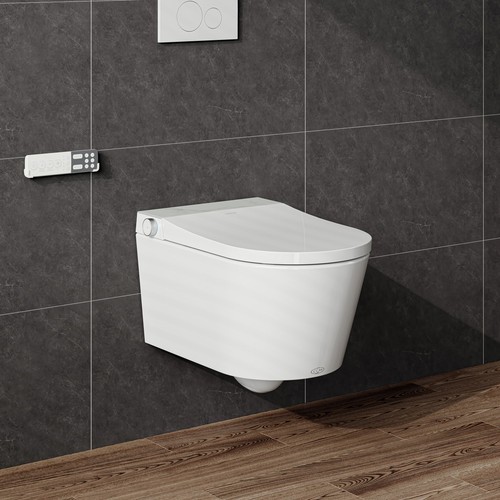 Dusch bidet spülrandlos - dusch, wc