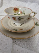 Felda Röhn Porzellan