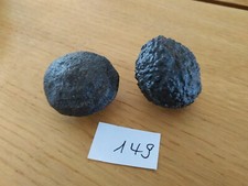 149 Moqui Marbles -Lebende