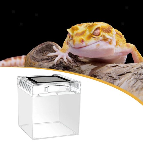 Reptilien-Terrarium