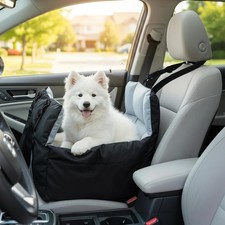 Hunde autositz - hunde,