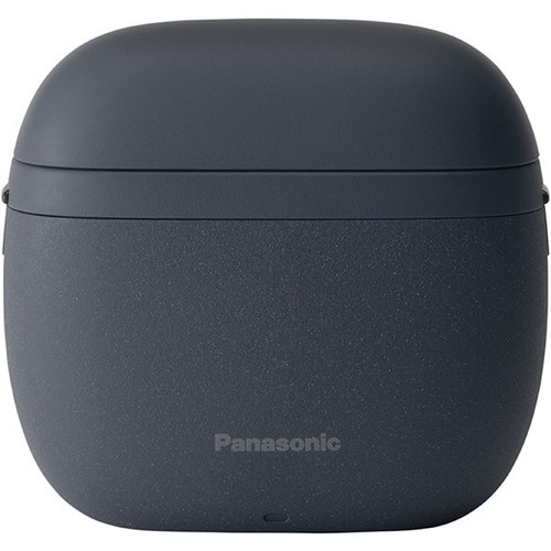 Panasonic lamdash palm - in, lite