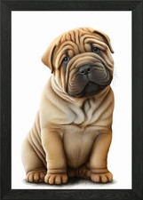 Shar Pei Hund 01 Gerahmtes