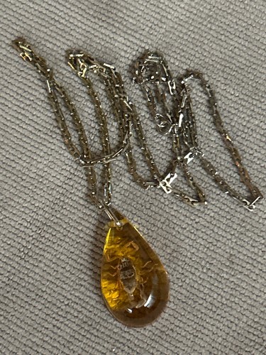 Skorpion polybern amber - skorpion, polybern-amber