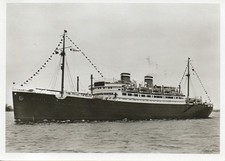 HAPAG - Hamburg-Amerika-Linie - Passagierdampfer St. LOUIS