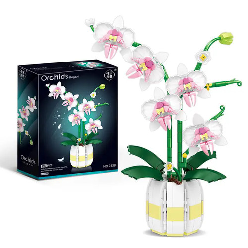 Orchidee bausteine blume - orchidee,