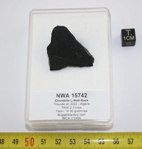 Meteoritenabsatz nwa 15742 - 15742,