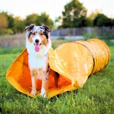 Procyon profi agility - procyon,