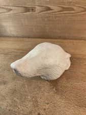 Gipsmodell Gipskopf Tierkopf Gips Präparat Präparator Dachs