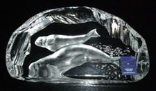 Rares Stück - Eisblock mit