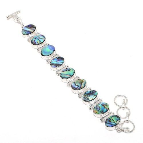 Abalone muschel ovale form - abalone,