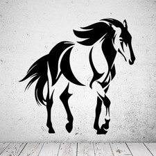Wandtattoo wildpferd - wandtattoo,