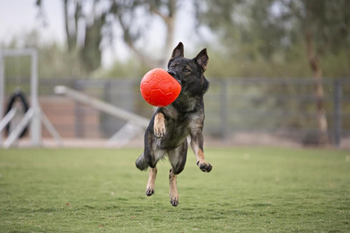 Jolly soccer ball 20cm - jolly,