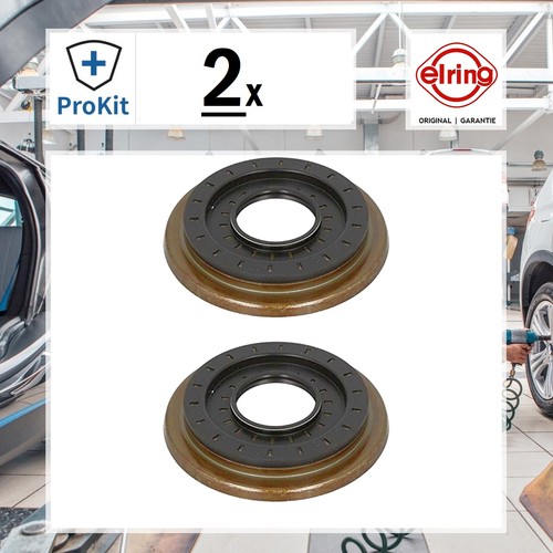 Original elring - 2x,