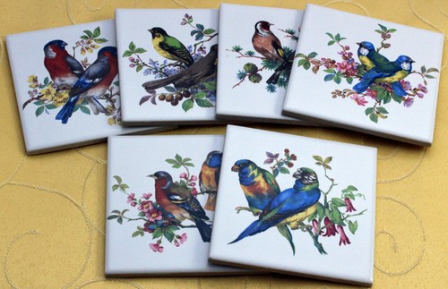 10x10 fliesen mit singvögel - fliesen,