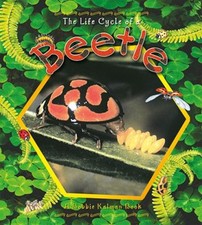The Life Cycle of a Beetle