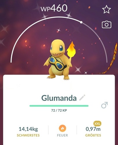 004 shiny glumanda - shiny,