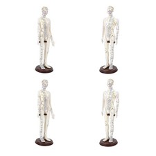 Akupunkturmodell Leichtes Modell der menschlichen Skulptur -Figur