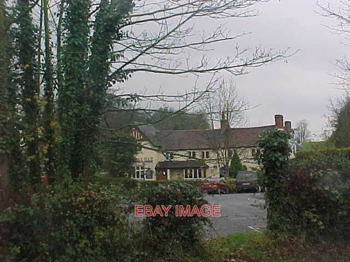 Foto the royal oak 2004 - foto,