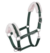 Pferdehalfter Waldhausen Elegant weich mit Glitzersteinen tannen grün Pony VB WB