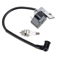 Zündspule Modul und