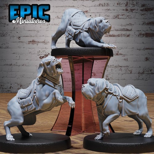 Mastiff war dog dungeons - war,