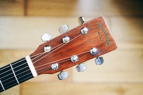 1982 takamine td30 lawsuit - -,