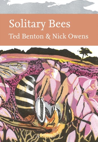 Solitary bees ted benton - bees, by
