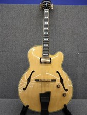 IBANEZ PM-200 Electric Guitar