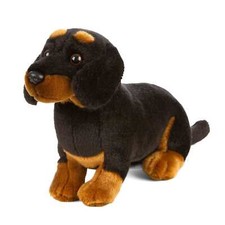 Dackel / Dachshund HUND