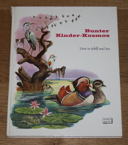 Bunter kinder kosmos - band, 5