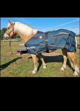 Bemer horse set - horse,