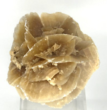 ★ Sandrose aus Tunesien – 150-200g ✦ Seltene Wüstenbildung ★