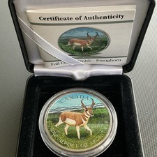 Gabelbock Full Colour Finish