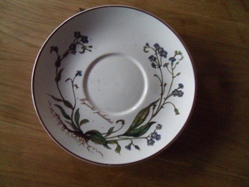 Villeroy boch botanica - &,