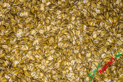 Futterhafer hafer gequetscht - futterhafer,