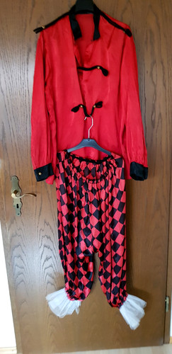 Clown harlekin zirkus direktor - clown,