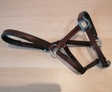 Lederhalfter Shetty Halfter Leder