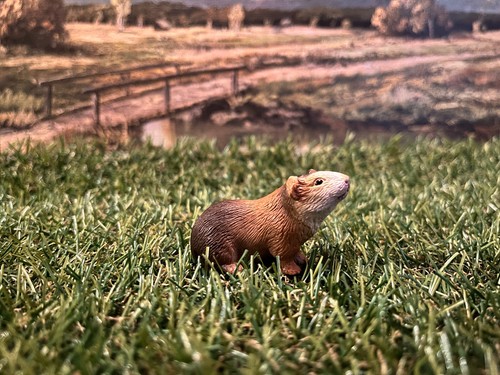 Schleich 14417 meerschweinchen - 14417,