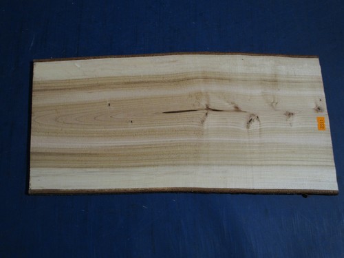 Kirsche kirschbaum furnier - kirschbaum,