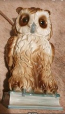 Rauchverzehrer, Eule mit