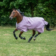 % Bucas Freedom Turnout light