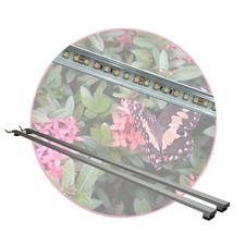 Regenwald Terrarium,2x