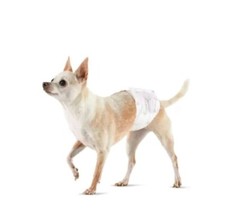 Amazon Basics Stecker Hund