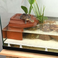 Sonnenplattform für