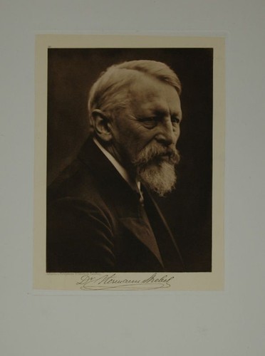 Hermann wilhelm strebel - hermann,