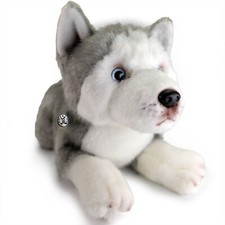 Husky Hund Schlittenhund