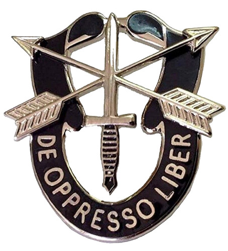 Special forces insignia - us,