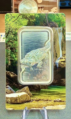 PAMP•SILBER🇨🇭NIL-CROCO